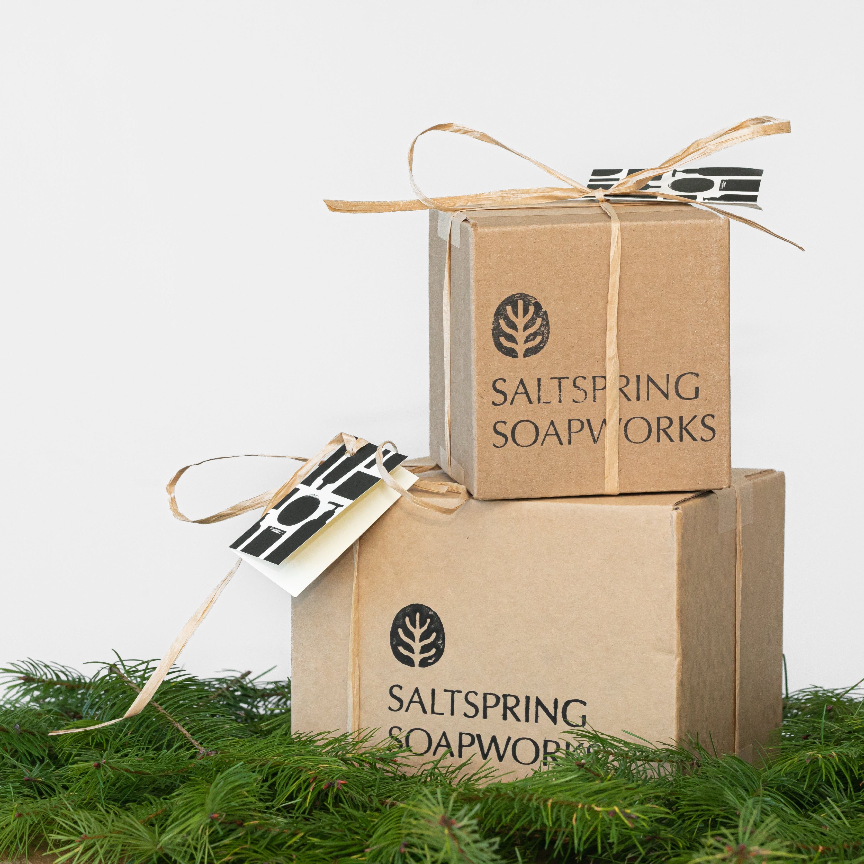 Two cardboard boxes with 'Saltspring Soapworks' branding on a white background with greenery at the base.