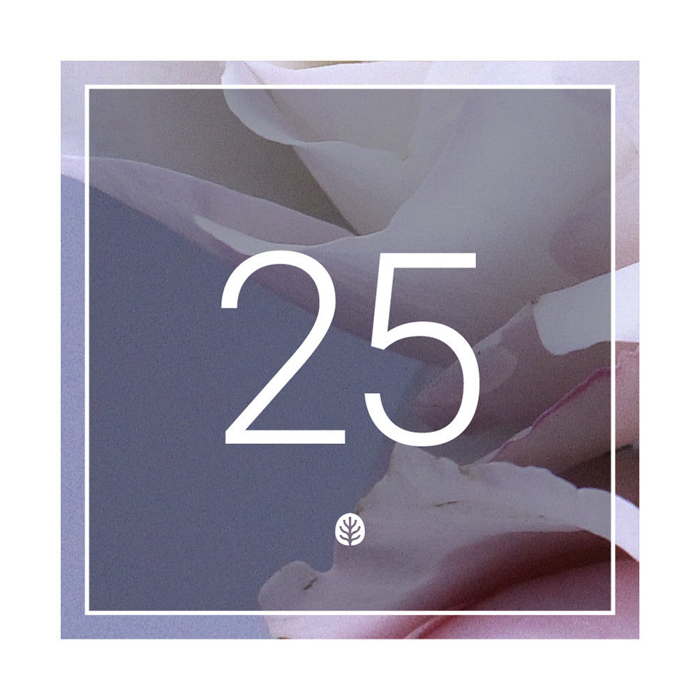 $25 Gift Certificate