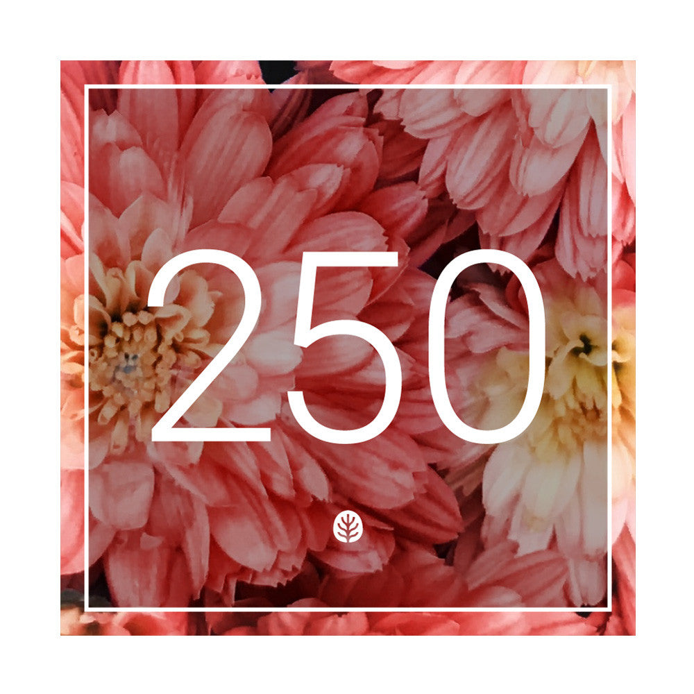 $250 Gift Certificate