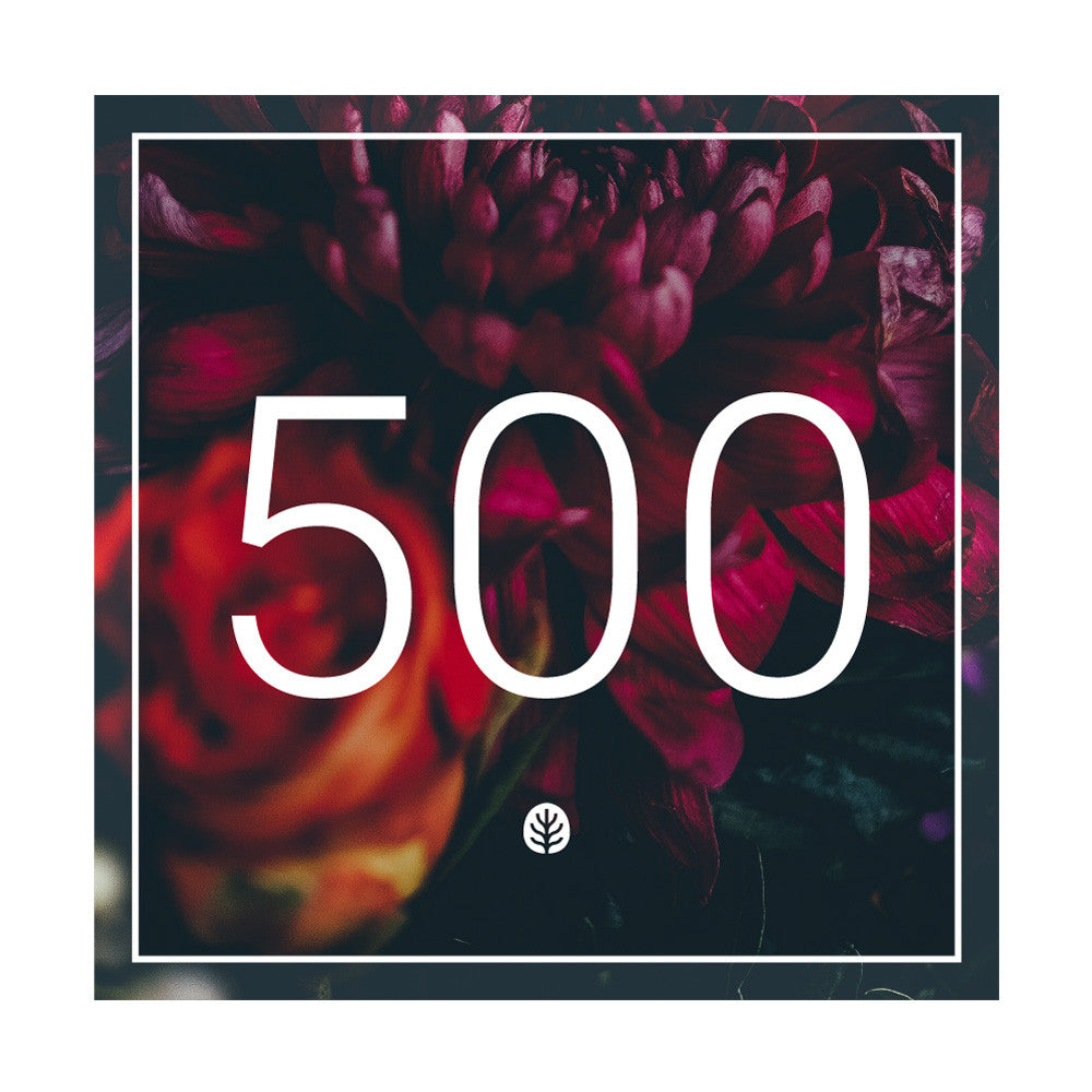 $500 Gift Certificate