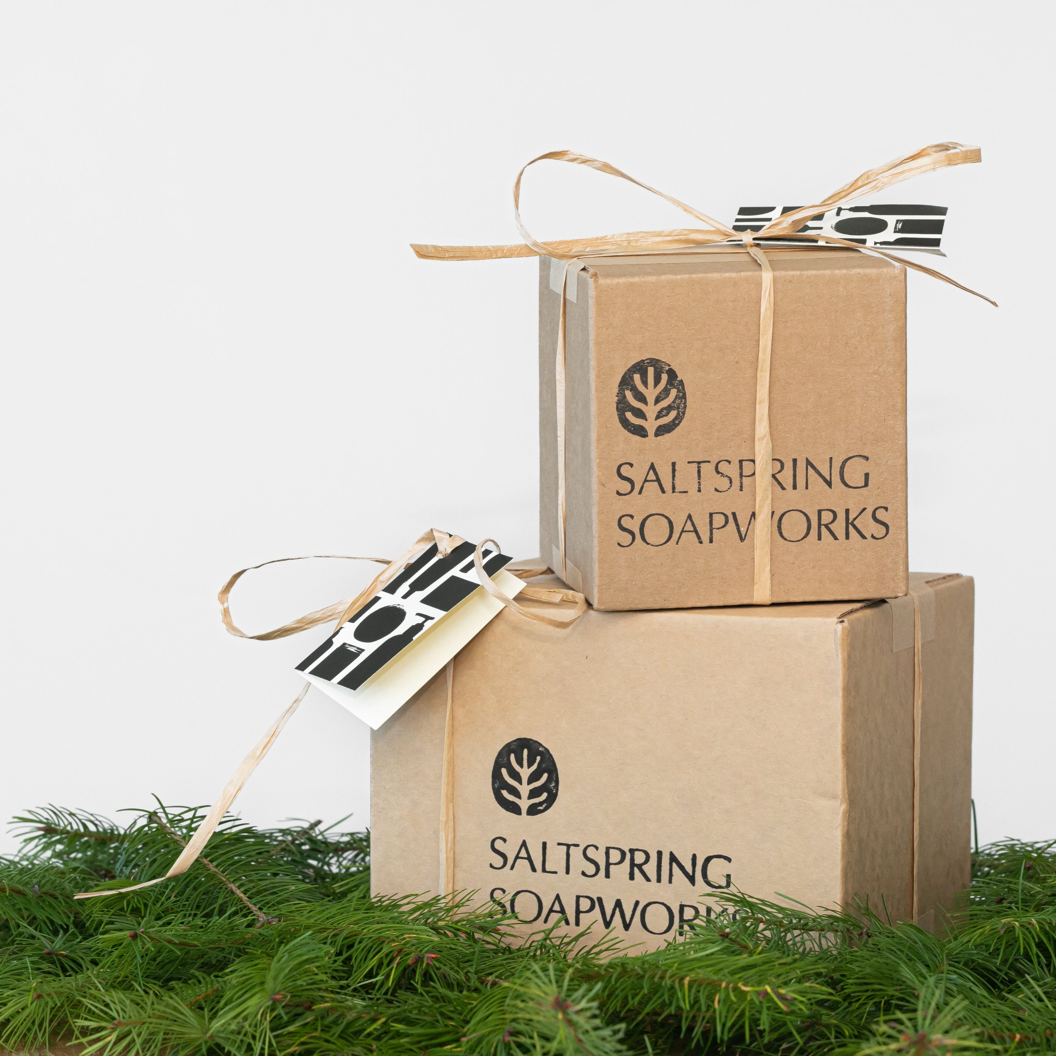 Two cardboard boxes with 'Saltspring Soapworks' branding on a white background with greenery at the base.